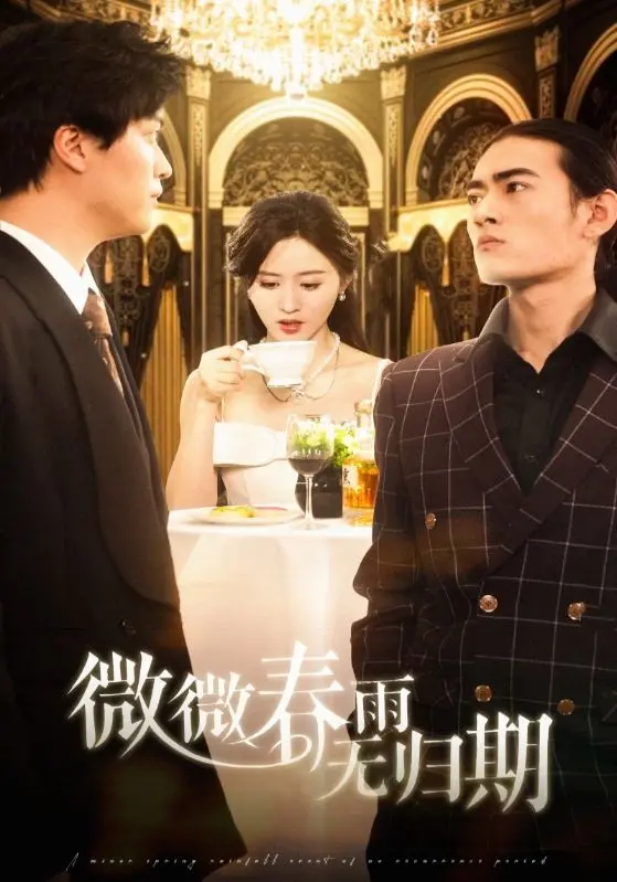 《微微春雨无归期》：一场跨越时空的凄美爱情挽歌