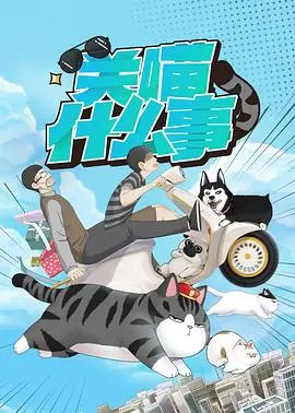 《关喵什么事》：猫咪主子的秘密生活与人类奇遇