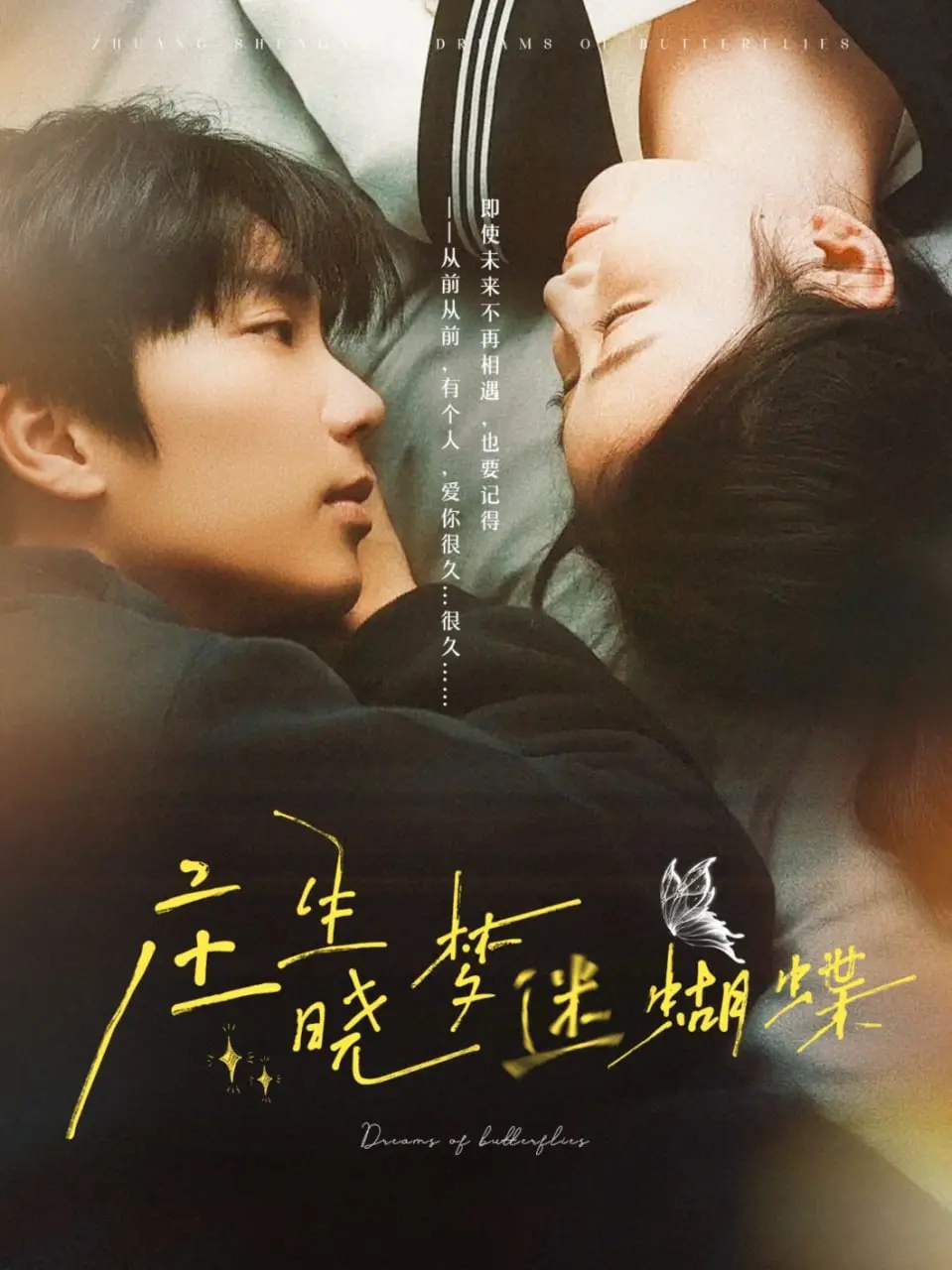 《庄生晓梦迷蝴蝶》：一场关于人生、爱情与美食的梦幻之旅